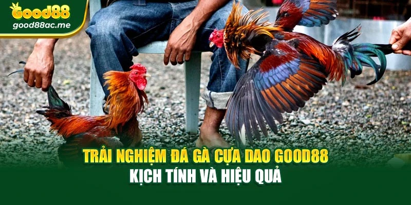 Trải Nghiệm Đá Gà Cựa Dao Good88 Kịch Tính Và Hiệu Quả